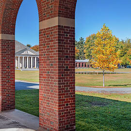 State Park, Saratoga Springs, Ny by Claudia Uripos