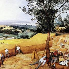 The Harvesters by Pieter Bruegel The Elder