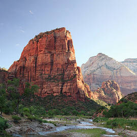Zion National Park by Michele Falzone
