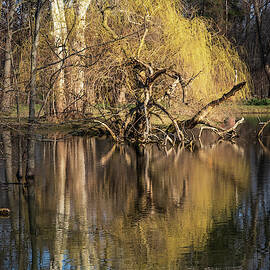 52nd and Clyde Park Study 1 by Mary Lee Dereske