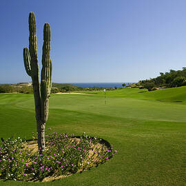 Golf Course, Los Cabos, Mexico by Hp Huber