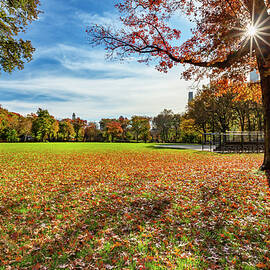 Autumn In Central Park, Manhattan by Claudia Uripos