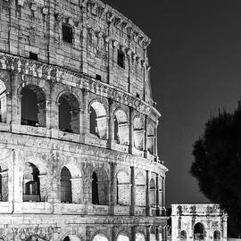 Rome, Coliseum, Italy by Luigi Vaccarella