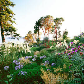 Dan Hinkley Garden by Richard Felber