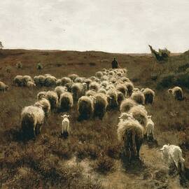 The Return Of The Flock, Laren by Anton Mauve
