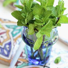 A Bunch Of Peppermint In A Glass Vase On Moroccan Ceramic Tiles by Vivi D'angelo