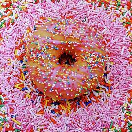 A Doughnut With Hundred And Thousand Sweets by Burgess, Linda