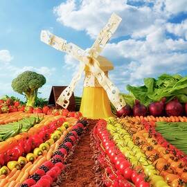 A Dutch Landscape Made From Fruit And Vegetables With A Cheese Windmill by Jan Prerovsky
