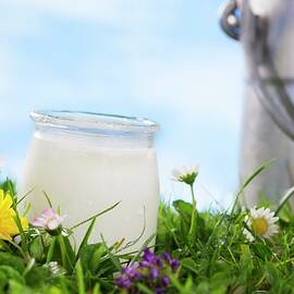 A Jar Of Yoghurt In A Flowering Meadow by Jean-paul Chassenet