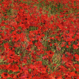 A meadow full of red flowers - 02 by AM FineArtPrints