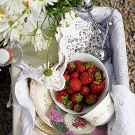 A Picnic Basket With Strawberries And Lemongrass Lemonade On A Bicycle by Hannah Kompanik