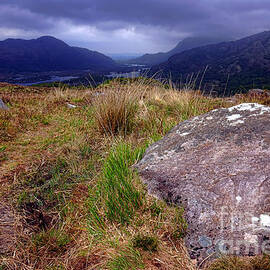 A Rock on the Iveragh Peninsula  by Olivier Le Queinec