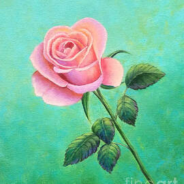 A Rose for Zilpha by Sarah Irland