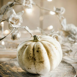 A Still Life With White Pumpkin by Donna Crous