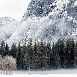 A Winter's Morning by Ted Hesser