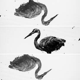Abstract Of The Great Blue Heron by Ethera