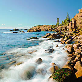 Acadia National Parks Rocky Atlantic by Ron thomas