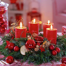 Advent Wreath From Abies, Buxus, Hedera, Cryptomeria by Friedrich Strauss