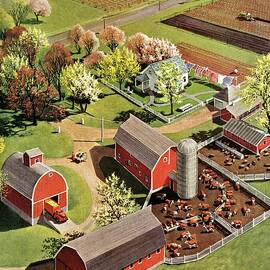 Aerial View Of Farm by C.j. Sternberg