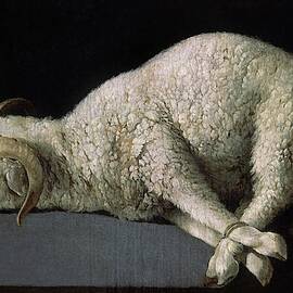 Francisco de Zurbaran / 'Agnus Dei -The Lamb of God-', 1635-1640