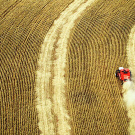 Agricultural Harvesting Maize by Marcos Alves