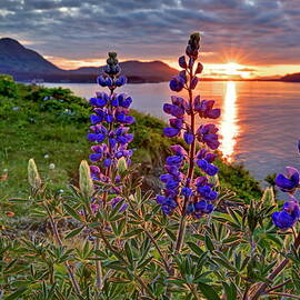 Alaska, Kodiak Island, Landscape by Bernd Rommelt