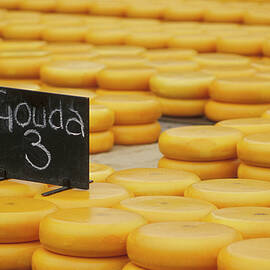 Alkmaar, Cheesemarket, Netherlands, Europe by Foto Herzig