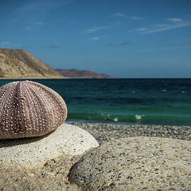 Alone on the Wall by Jean Noren