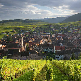 Alsace, France by Peter Adams