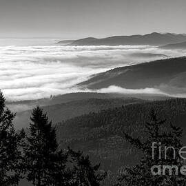 Alsace Mountains  by Olivier Le Queinec
