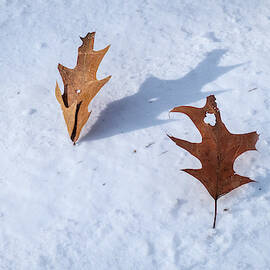 Always Stand Up for Yourself by Mary Lee Dereske
