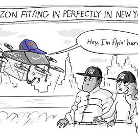 Amazon Fitting In Perfectly by Farley Katz