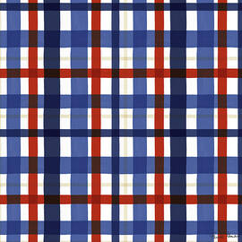America The Beautiful Pattern Iv by Farida Zaman