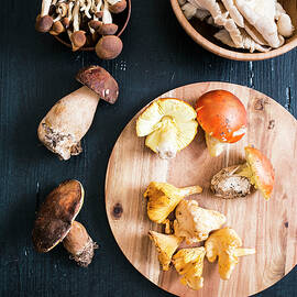 An Arrangement Of Mushrooms With Chanterelles And Porcini Mushrooms by Maricruz Avalos Flores
