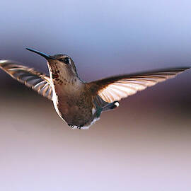 An Even Closer Inspection by Joe Schofield