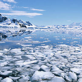 Antarctica, Paradise Bay, Bryde Island by Paul Souders