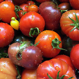 aqui estan mis tomates para ti by Joe Schofield