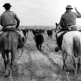 Argentinian Cowboys In 1954 by Keystone-france