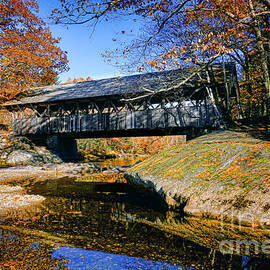 Artists Bridge by Olivier Le Queinec