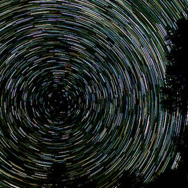 As Polaris Keeps an Eye  by Joe Schofield