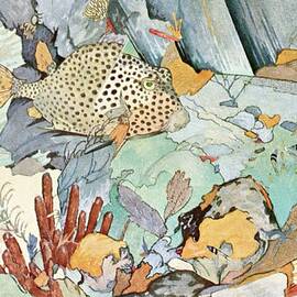 Atlantic Trunkfish by Stephen Haweis