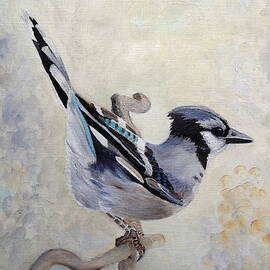 Attitude Derriere Blue Jay by Angeles M Pomata