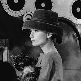 Audreys Funny Face by Bert Hardy
