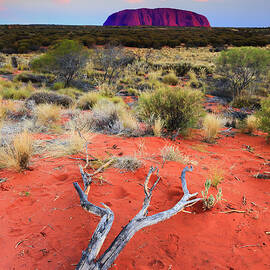 Australia, Northern Territory, Oceania, Ayers Rock by Maurizio Rellini