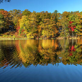 Autumn Foliage, Saratoga Springs Ny by Claudia Uripos