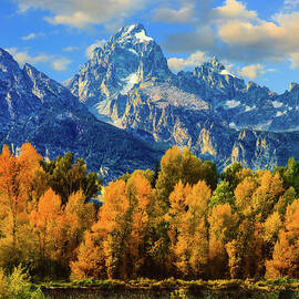Autumn In Grand Teton Natoinal Park by Ron thomas