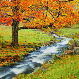 Autumn In Vermont G by Ron thomas