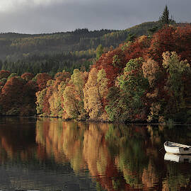 Autumn Morning by Grant Glendinning