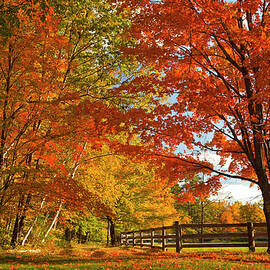 Autumn Near Conway, New Hampshire by Claudia Uripos