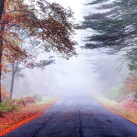 Autumn Road In The Quabbin Reservoir by Denistangneyjr